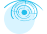 Our Vision